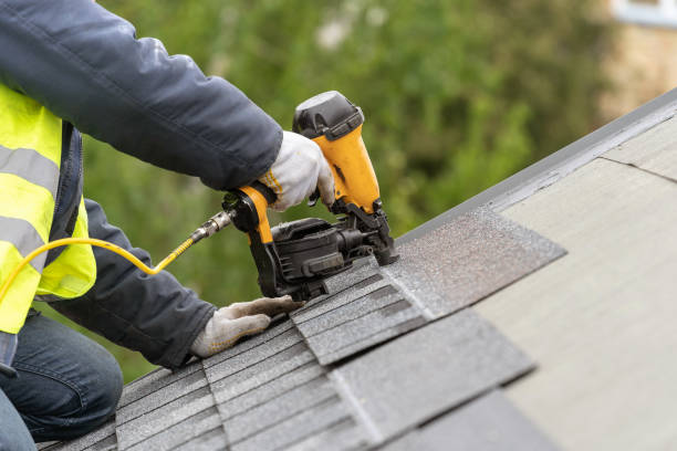 Best Asphalt Shingle Roofing  in Beacon Hill, WA